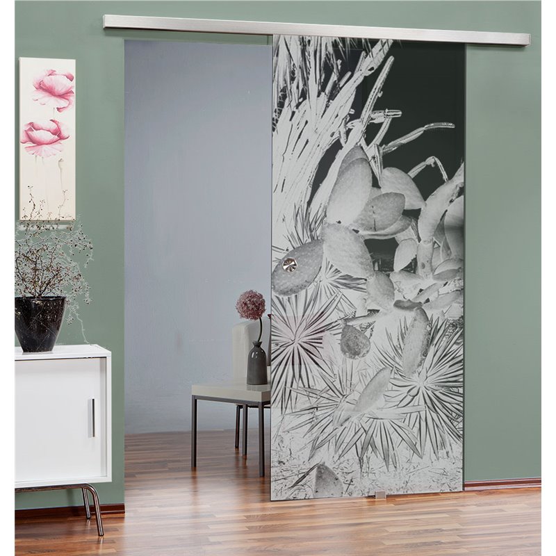 Glasschiebetür SLIM-LINE Kaktusblüten Gelasert Auf Grauglas Glasschiebetür SLIM-LINE Kaktusblüten Gelasert Auf Grauglas