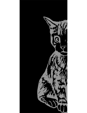 Glasschiebetür PIPE-LINE Katze Gelasert Auf Grauglas