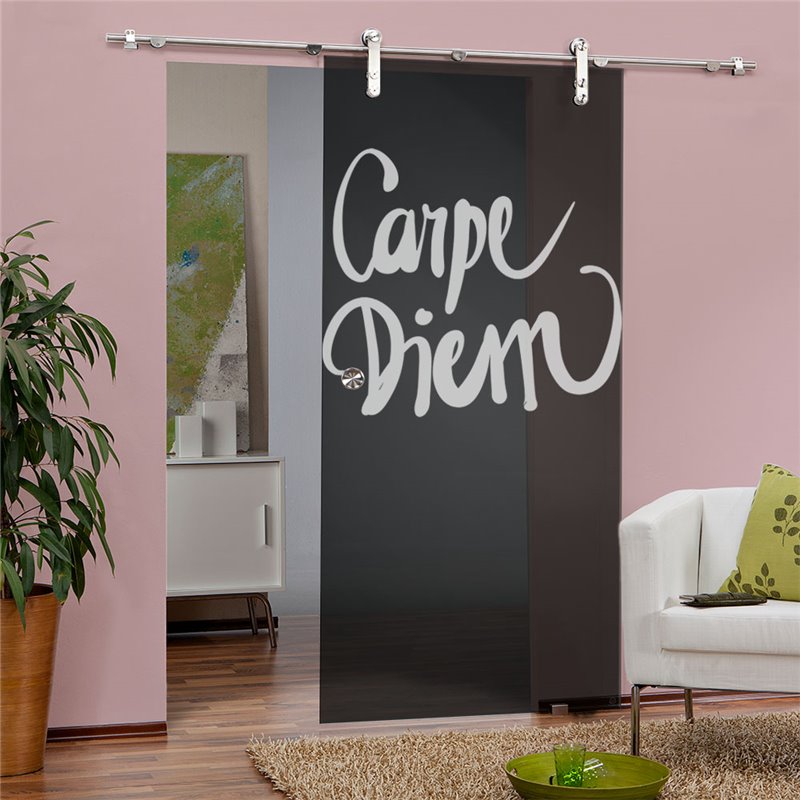 Glasschiebetür PIPE-LINE Carpe Diem Gelasert Auf Grauglas Glasschiebetür PIPE-LINE Carpe Diem Gelasert Auf Grauglas