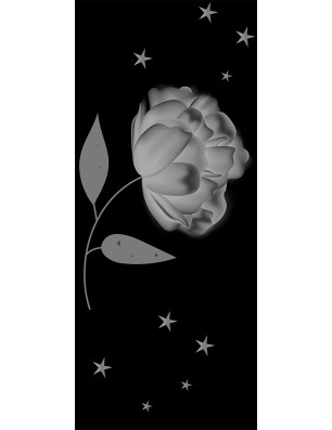 Lichtausschnitt Blume Gelasert Auf Klarglas