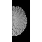 Lichtausschnitt Blume 8 Gelasert Auf Klarglas Lichtausschnitt Blume 8 Gelasert Auf Klarglas