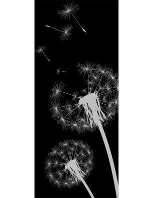 Lichtausschnitt Pusteblume Gelasert Auf Klarglas