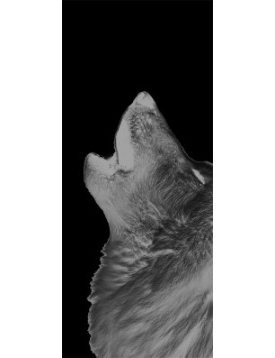 Lichtausschnitt Wolf 2 Gelasert Auf Grauglas