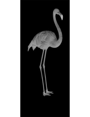 Lichtausschnitt Flamingo Gelasert Auf Grauglas