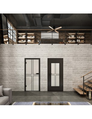 Ganzglastür Loft Schwarzlack 15 Blickdicht-modernes Zuhause