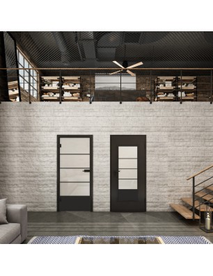 Ganzglastür Loft Schwarzlack 31 Blickdicht-modernes Zuhause