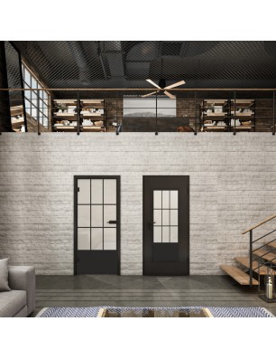 Ganzglastür Loft Schwarzlack 38 Blickdicht-modernes Zuhause