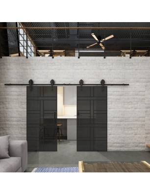 Glasschiebetür BARN-LINE Loft Schwarzlack 13 Auf Grauglas
