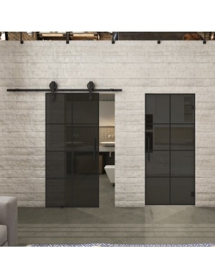 Glasschiebetür BARN-LINE Loft Schwarzlack 06 Auf Grauglas