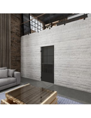 Pendeltür Loft Schwarzlack 35 Auf Grauglas-modernes Zuhause