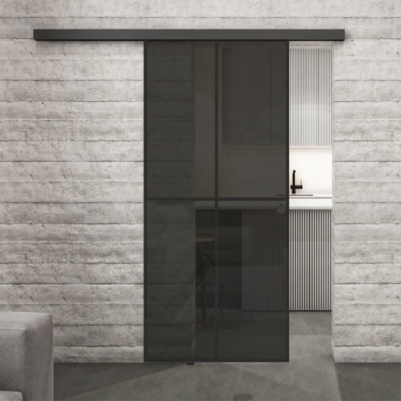 Glasschiebetür BLACK-LINE Loft Schwarzlack 08 Auf Grauglas