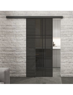 Glasschiebetür BLACK-LINE Loft Schwarzlack 20 Auf Grauglas