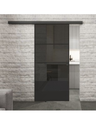 Glasschiebetür BLACK-LINE Loft Schwarzlack 32 Auf Grauglas