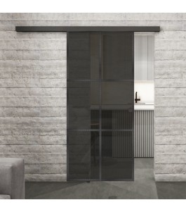 Glasschiebetür BLACK-LINE Loft Schwarzeisen Genietet 07 Auf Grauglas
