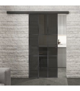 Glasschiebetür BLACK-LINE Loft Schwarzeisen Genietet 11 Auf Grauglas