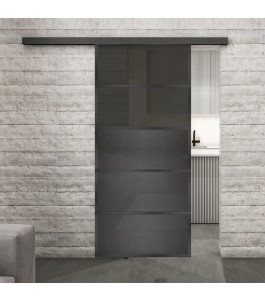 Glasschiebetür BLACK-LINE Loft Schwarzeisen Genietet 13 Auf Grauglas
