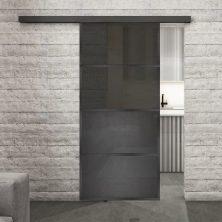Glasschiebetür BLACK-LINE Loft Schwarzeisen Genietet 14 Auf Grauglas