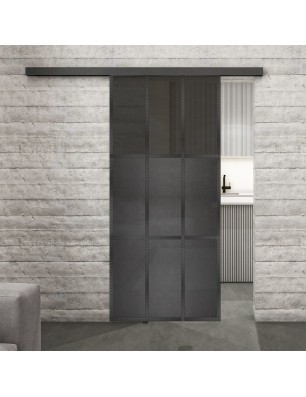 Glasschiebetür BLACK-LINE Loft Schwarzeisen Genietet 23 Auf Grauglas