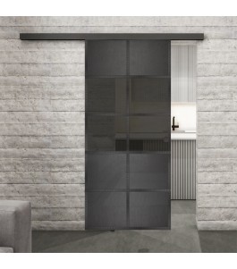 Glasschiebetür BLACK-LINE Loft Schwarzeisen Genietet 28 Auf Grauglas