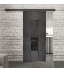 Glasschiebetür BLACK-LINE Loft Schwarzeisen Genietet 34 Auf Grauglas