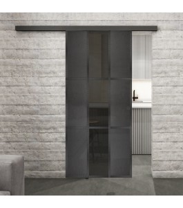 Glasschiebetür BLACK-LINE Loft Schwarzeisen Genietet 36 Auf Grauglas