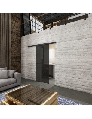 Glasschiebetür BLACK-LINE Loft Schwarzlack 08 Auf Grauglas