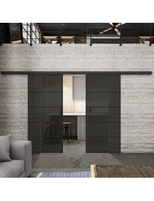 Glasschiebetür BLACK-LINE Loft Schwarzlack 01 Auf Grauglas