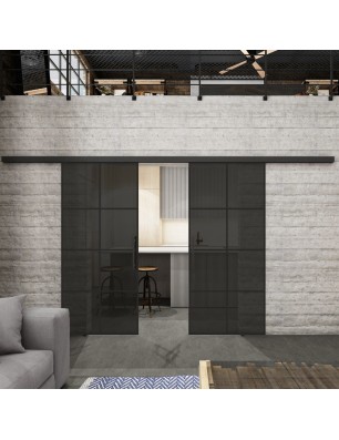 Glasschiebetür BLACK-LINE Loft Schwarzlack 06 Auf Grauglas
