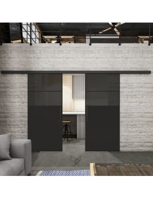 Glasschiebetür BLACK-LINE Loft Schwarzlack 22 Auf Grauglas