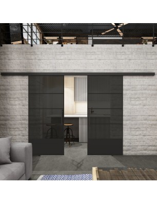 Glasschiebetür BLACK-LINE Loft Schwarzlack 31 Auf Grauglas