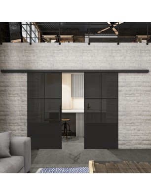 Glasschiebetür BLACK-LINE Loft Schwarzlack 36 Auf Grauglas