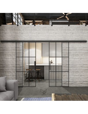 Glasschiebetür BLACK-LINE Loft Schwarzlack 11 Auf Klarglas