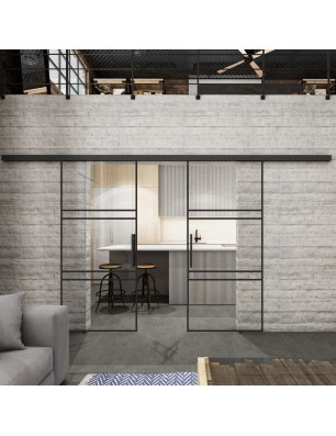 Glasschiebetür BLACK-LINE Loft Schwarzlack 17 Auf Klarglas