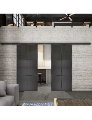Glasschiebetür BLACK-LINE Loft Schwarzeisen Genietet 19 Auf Grauglas