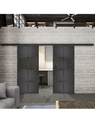 Glasschiebetür BLACK-LINE Loft Schwarzeisen Genietet 29 Auf Grauglas