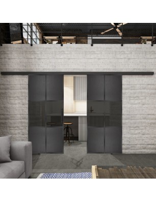 Glasschiebetür BLACK-LINE Loft Schwarzeisen Genietet 30 Auf Grauglas