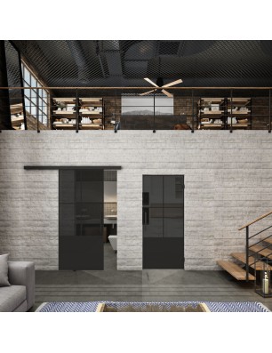 Glasschiebetür BLACK-LINE Loft Schwarzlack 36 Auf Grauglas