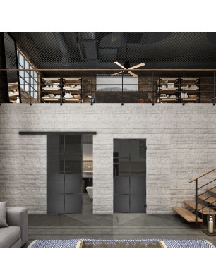 Glasschiebetür BLACK-LINE Loft Schwarzeisen Genietet 18 Auf Grauglas