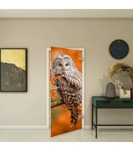 Ganzglastür - Fotoprint Model 238 für ein modernes Zuhause