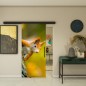 Glasschiebetür BLACK-LINE - Fotoprint Modell 237 Glasschiebetür BLACK-LINE - Fotoprint Modell 237