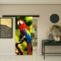 Glasschiebetür BLACK-LINE - Fotoprint Modell 248 Glasschiebetür BLACK-LINE - Fotoprint Modell 248
