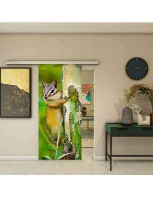 Glasschiebetür SLIM-LINE - Fotoprint Model 240