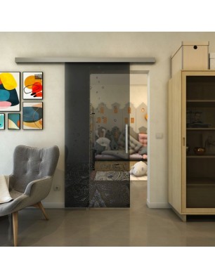 Glasschiebetür SLIM-LINE - Fineprint Model 155 Schwarz auf Grauglas